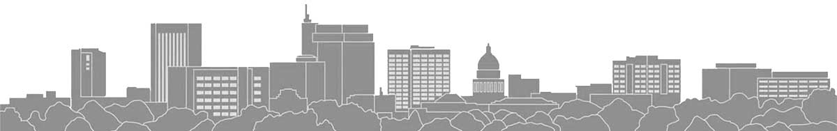 Boise skyline graphic